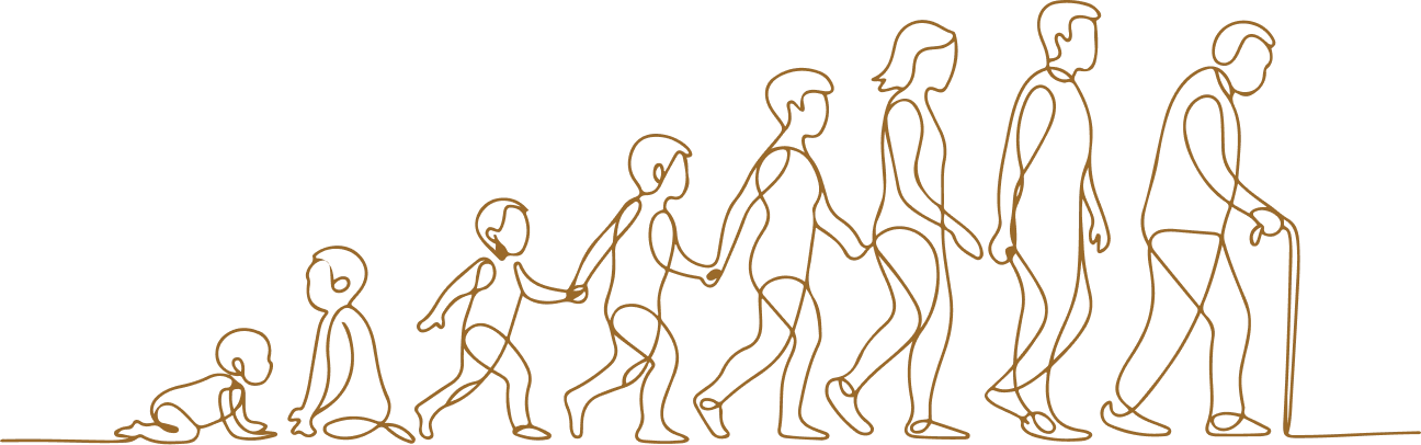 image représentant l'évolution de l'Homme au cours de sa vie